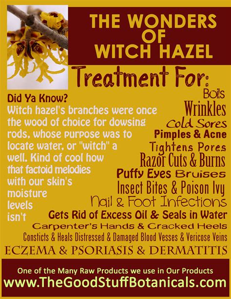 Witch Skin Care: Harnessing the Power of the Moon for Skin Rejuvenation
